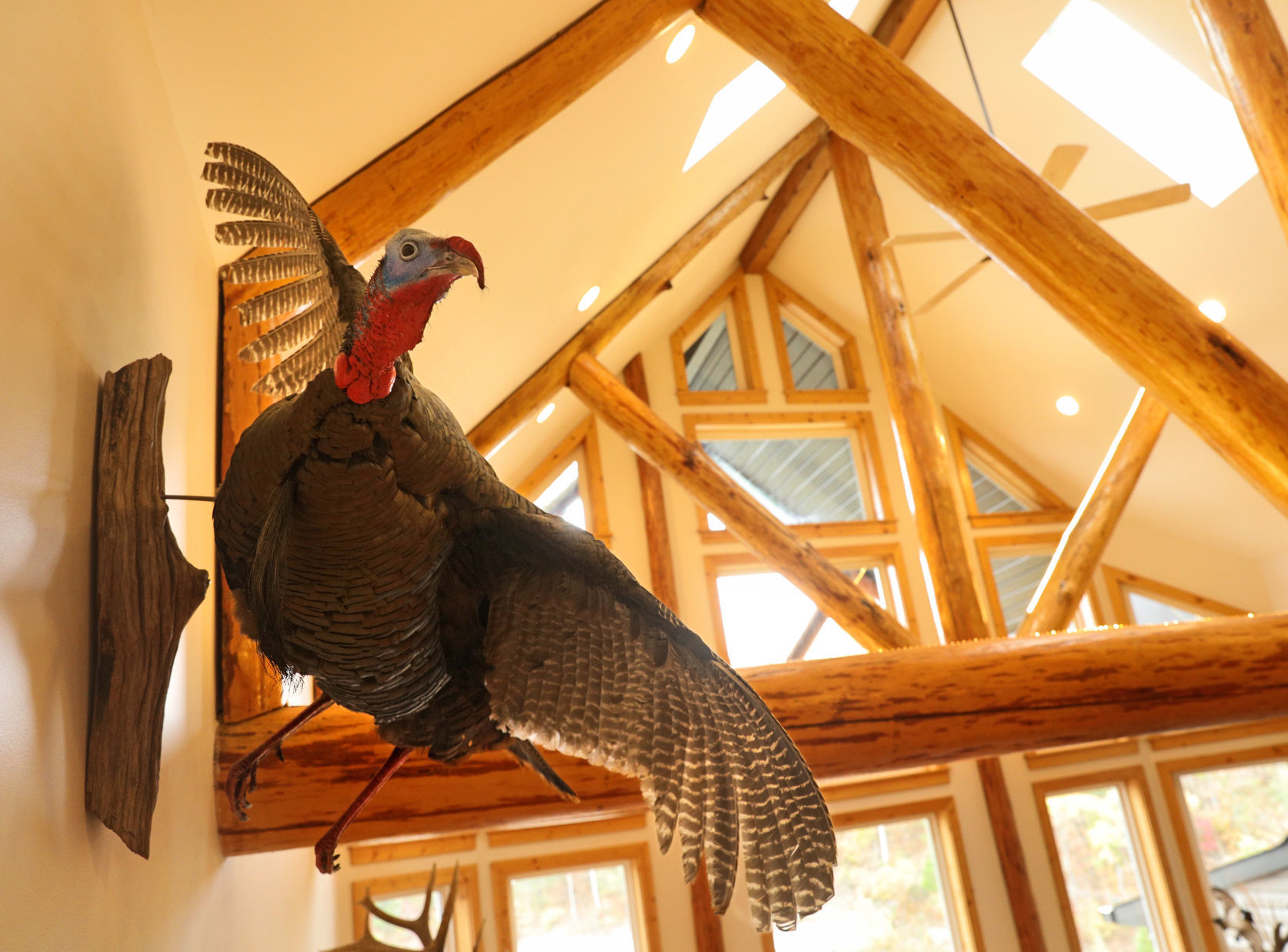 At Home with Scott and Johanna Schuessler in Pacific